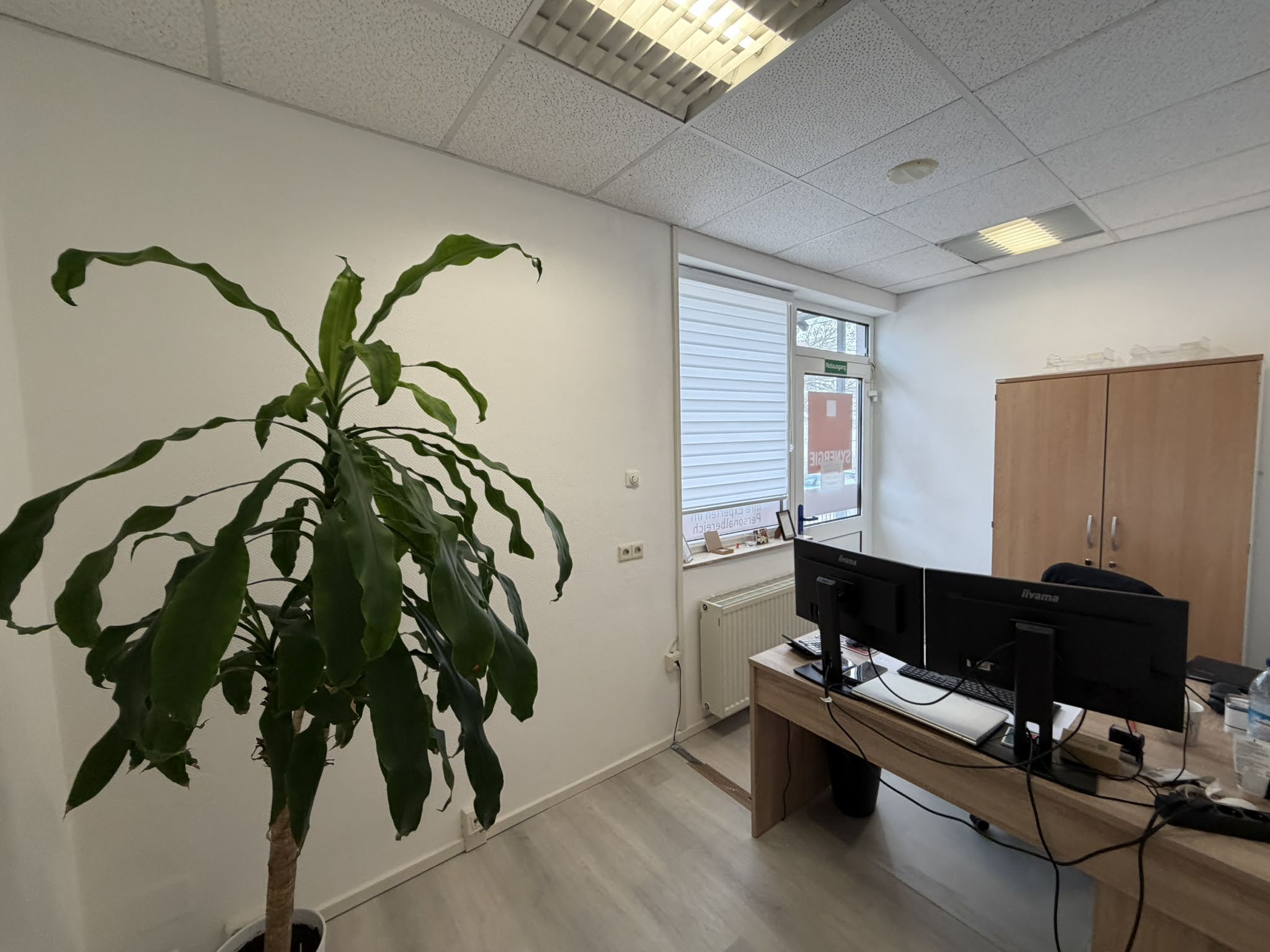 Büro / Personaldienstleister